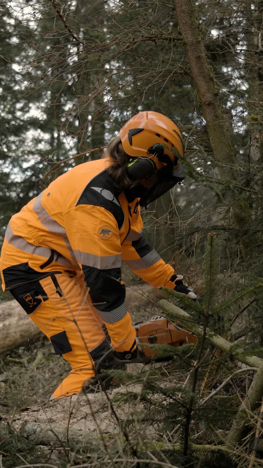 Forstarbeit mit der Motorsäge in Warnschutzkleidung